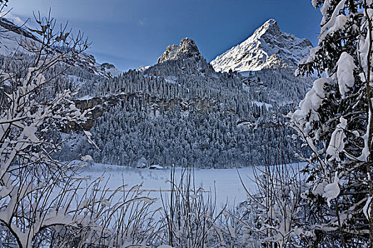冬季风景,湖,伯尔尼阿尔卑斯山,晨雾,山谷,局部,伯恩,瑞士