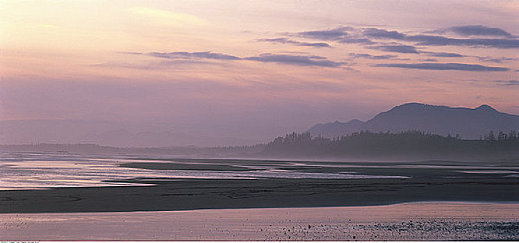 日落,上方,长滩,环太平洋国家公园,不列颠哥伦比亚省,加拿大