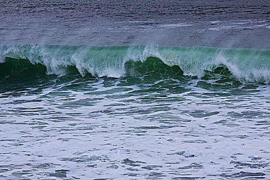 碎波,浪尖,背影,风,蒙特利湾,美国