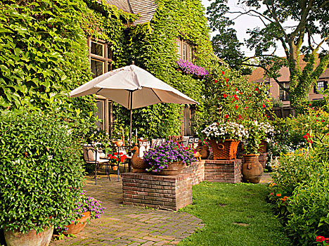 风景,私人花园,内庭,家,夏天,多伦多,安大略省,加拿大