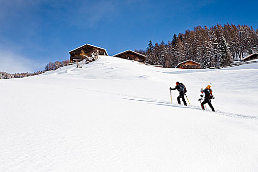 滑雪者,向上,顶峰,萨恩泰尔,意大利,欧洲