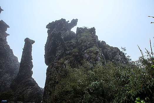 神农架,板壁岩,风景,景点,旅游,高山,神秘,树木,植被,石头,鄂西,奇石,壮观