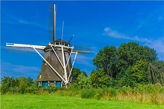 风车,阿姆斯特丹,荷兰