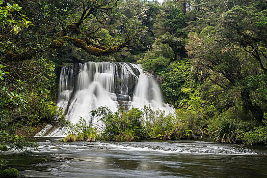 瀑布,雨林,乌雷威拉国家公园,北岛,新西兰,大洋洲