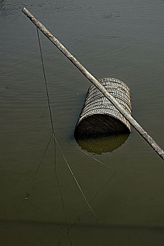 桶,鱼肉,困境,装入,水,农场,抓住,吃,虾,地区,库尔纳市,分开,孟加拉,2007年