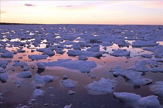 浮冰,日落,哈得逊湾,分手,丘吉尔市,曼尼托巴,加拿大