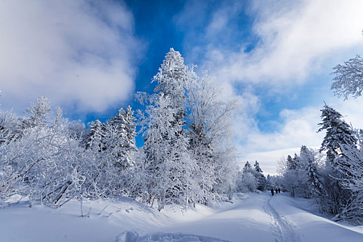 和龙老里克湖冬季,林海雪原