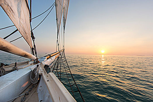 日落,游轮,西部,联合,纵帆船,西礁岛,佛罗里达,美国