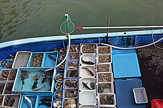 海鲜,销售,码头,香港