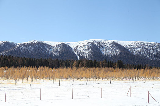 雪后天山美景