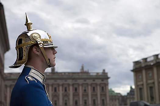 肖像,守卫,斯德哥尔摩,宫殿,瑞典