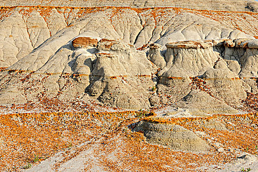 悬崖,侵蚀,橙色,层次,西奥多-罗斯福,南,北达科他,美国