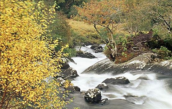 俯拍,河,流动,石头,桥,基拉尼国家公园,凯瑞郡,爱尔兰