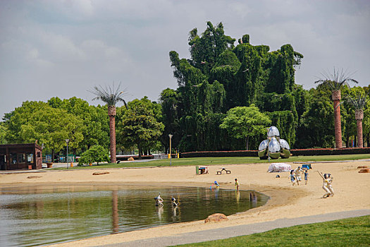 城市森林,阳光草地