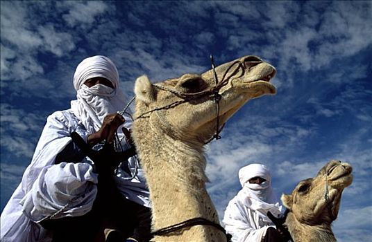 柏柏尔人,男人,骑,骆驼,撒哈拉沙漠,利比亚,北非