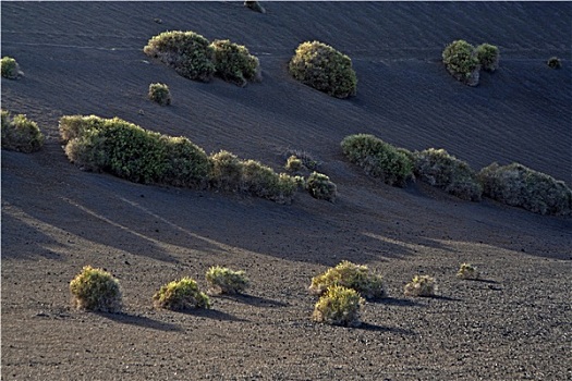 火山地貌,国家公园,帝曼法雅,兰索罗特岛,西班牙