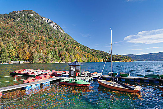 船,租赁,踏板船,瓦尔幸湖,上巴伐利亚,巴伐利亚,德国