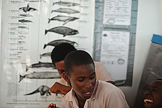 dominica,roseau,schoolboy,looking,the,explanation,panel,with,fishes,unicef,-,environmental,network,whalewatching