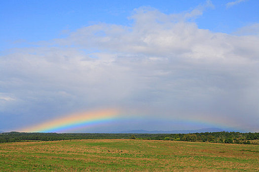 彩虹,上方,农场