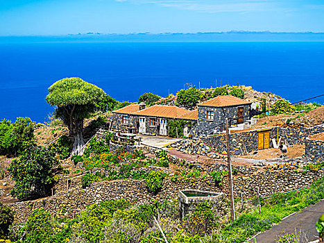 悬崖,房子,哥斯达黎加,帕尔玛,加纳利群岛,西班牙,欧洲