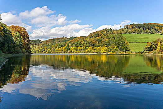 秋天,自然公园,公园,北莱茵威斯特伐利亚,德国,欧洲
