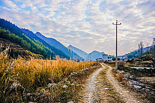 村庄,农村,房子,老屋,土墙,树,小路,道路,山,蓝天,白云,石墙,鱼鳞云,牛,草,田地,农舍