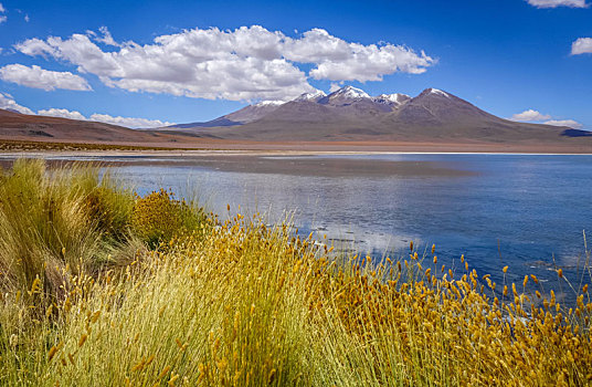 高原,泻湖,玻利维亚