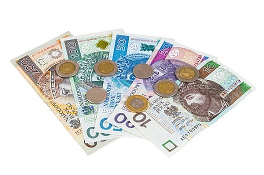 新,波兰,货币,硬币