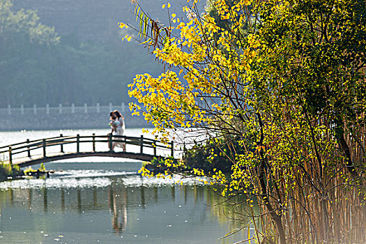 中山植物园