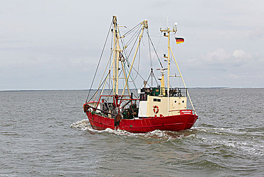 拖船,北方,海洋,靠近,施皮克莱霍克,下萨克森,德国,欧洲