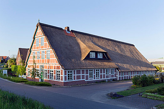 农舍,半木结构房屋,茅草屋顶,陆地,下萨克森,德国,欧洲