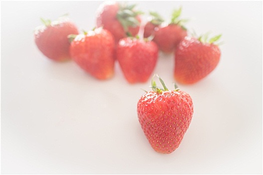 新鲜,成熟,草莓,白色背景,背景
