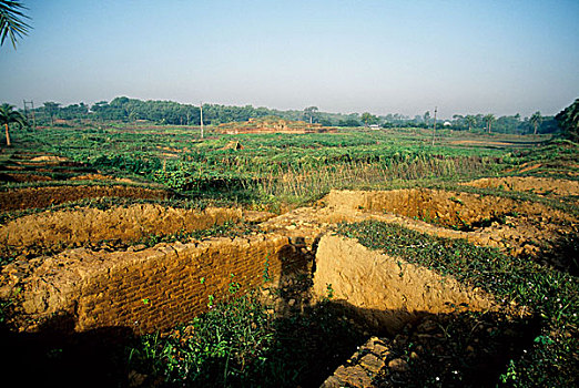 佛教,寺院,旅游胜地,北方,孟加拉,国王,朋友,七世纪,乡村,西部,地区,考古,发现