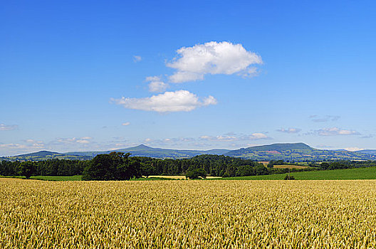 威尔士,蒙茅斯郡,小麦,地点,晴朗,夏天,白天,罐,风景,顶峰,山峦