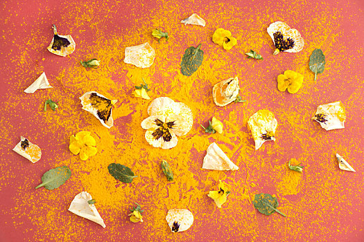 姜黄,食用,白色,黄色,花