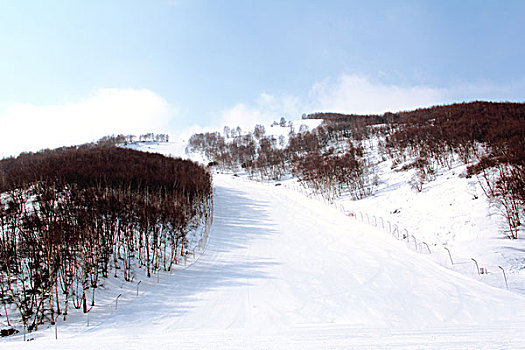 雪场白色的滑雪雪道