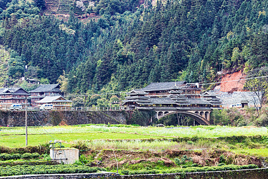 风景,乡村,桥,地点