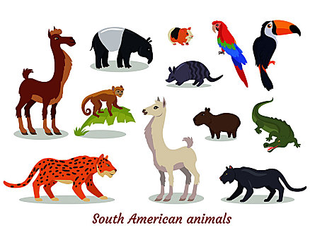 收集,南美,野生动物,卡通,多彩,食肉动物,草食动物,鸟,象征,隔绝,白色背景,背景,矢量,插画,动物,物种