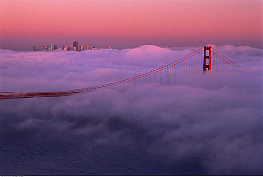 金门大桥,雾,旧金山,加利福尼亚,美国
