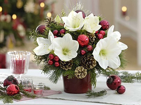 圣诞节,花束,白色,孤挺花,松柏科,绿色