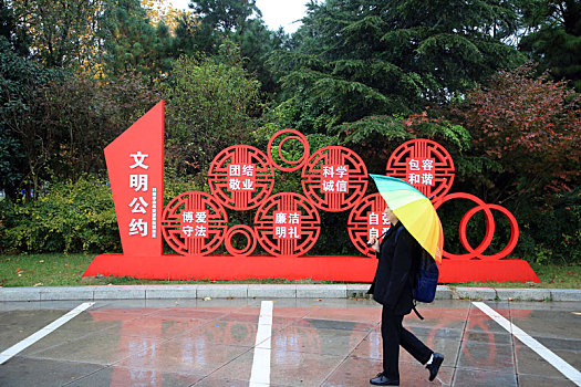 山东省日照市,立冬节气风雨交加,落叶缤纷铺满路面成靓丽风景,气象部门连续发布寒潮大风预警信号