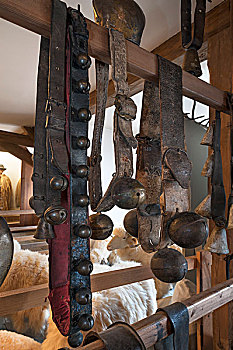 牛铃,左边,马,雪撬,铃,皮革,带子,德国牧羊犬,博物馆,中间,弗兰克尼亚,巴伐利亚,德国,欧洲