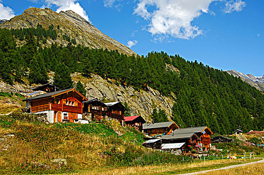 小村庄,木制屋舍,山峦,瓦莱,瑞士,欧洲