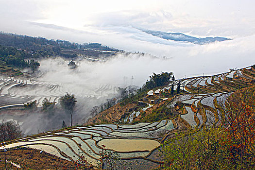 元阳梯田