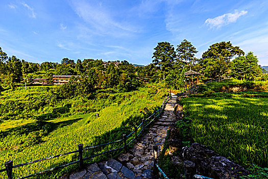 南岗排瑶寨自然风景