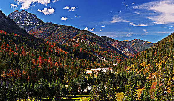 山谷,秋天,靠近,提洛尔,奥地利,欧洲