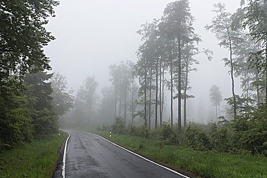 道路,图林根州,树林,德国