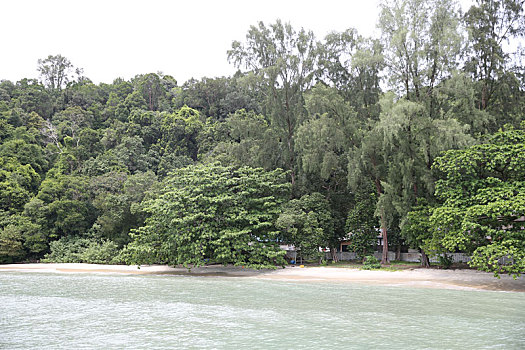 马来西亚槟城国家公园