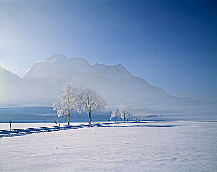 巴伐利亚,雪中,德国