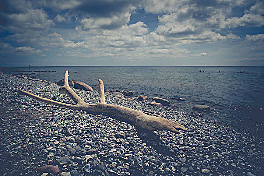 波罗的海,海岸,雅斯蒙德国家公园,粉笔,石头